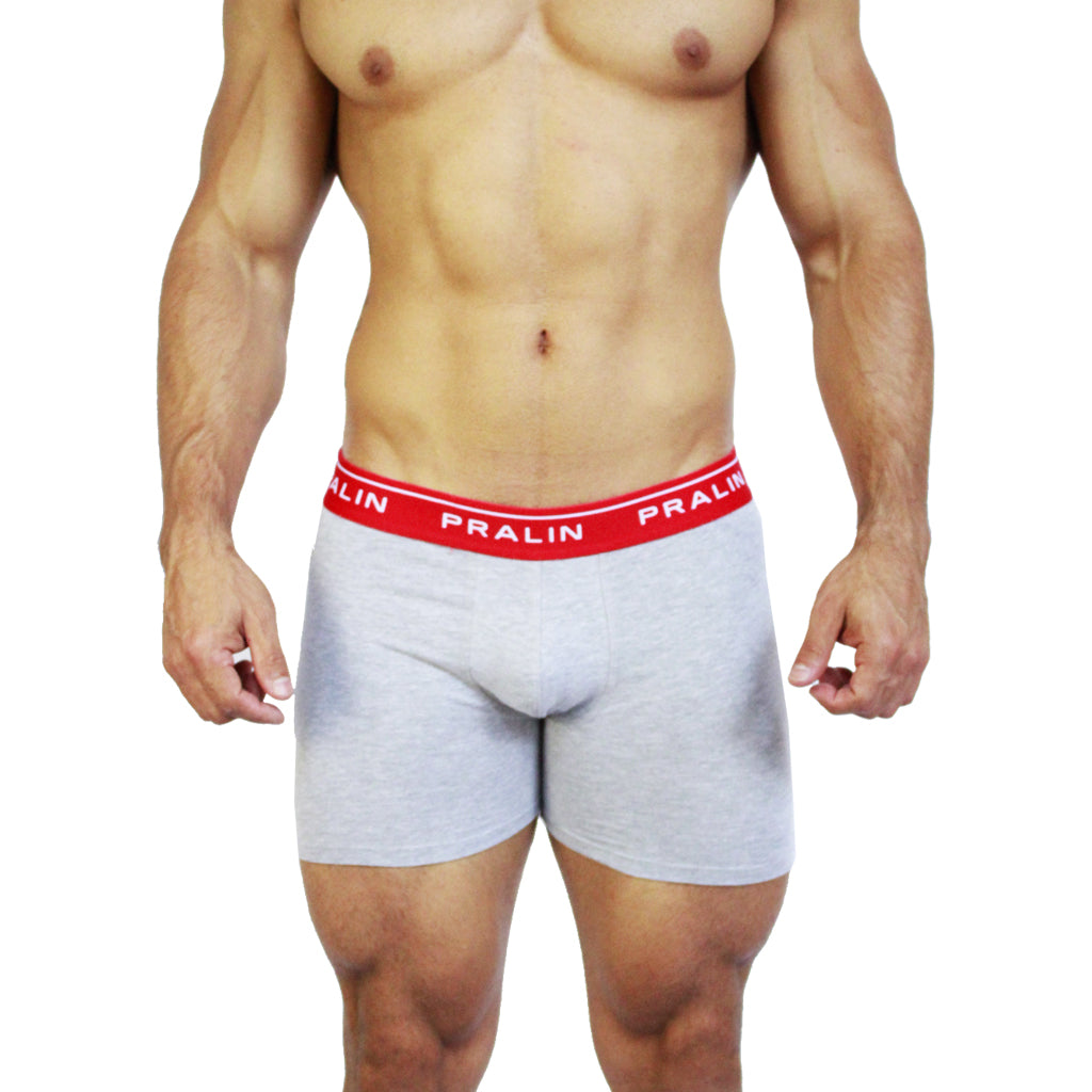 boxer gris para hombre ropa interior