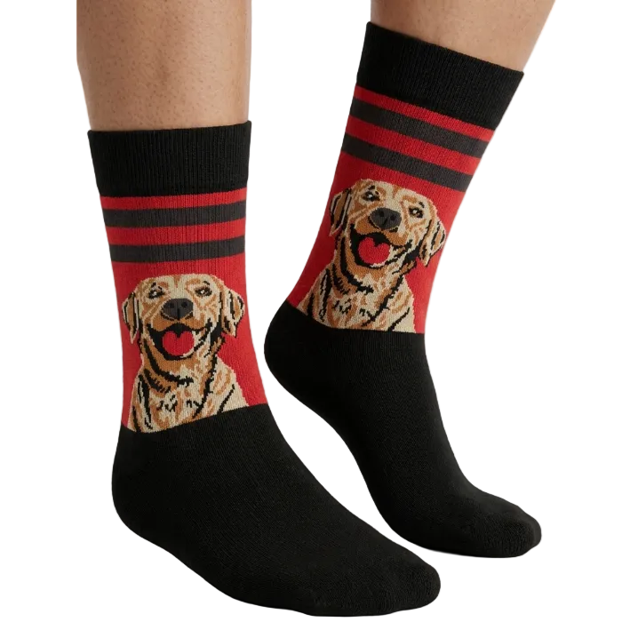 Pet Lovers Golden Retriever 2 - Edición Limitada