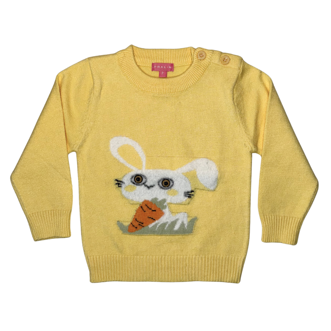 Suéter Cuello Redondo 10227 Niña