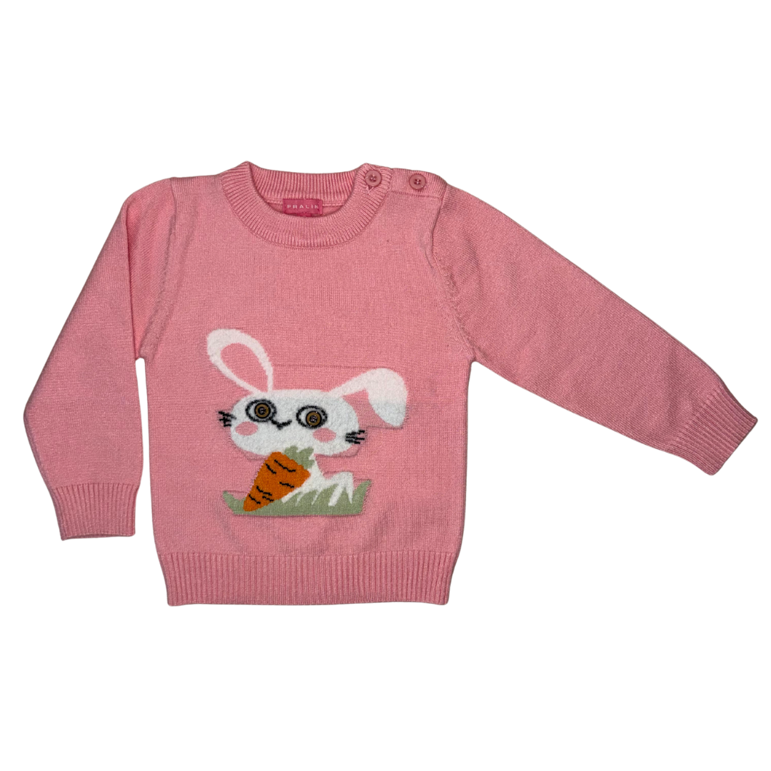 Suéter Cuello Redondo 10227 Niña